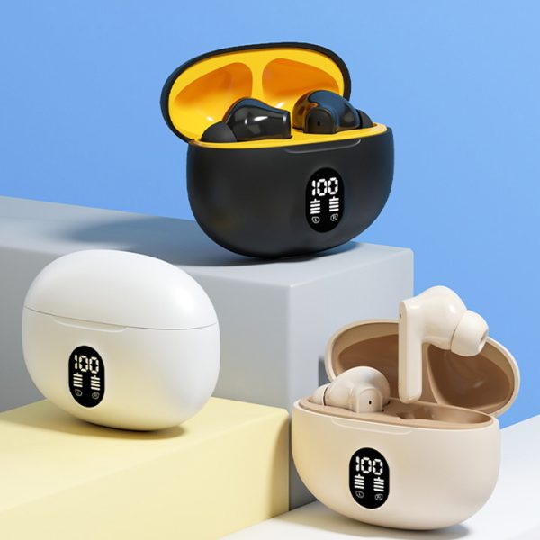 Professional Display Earbuds